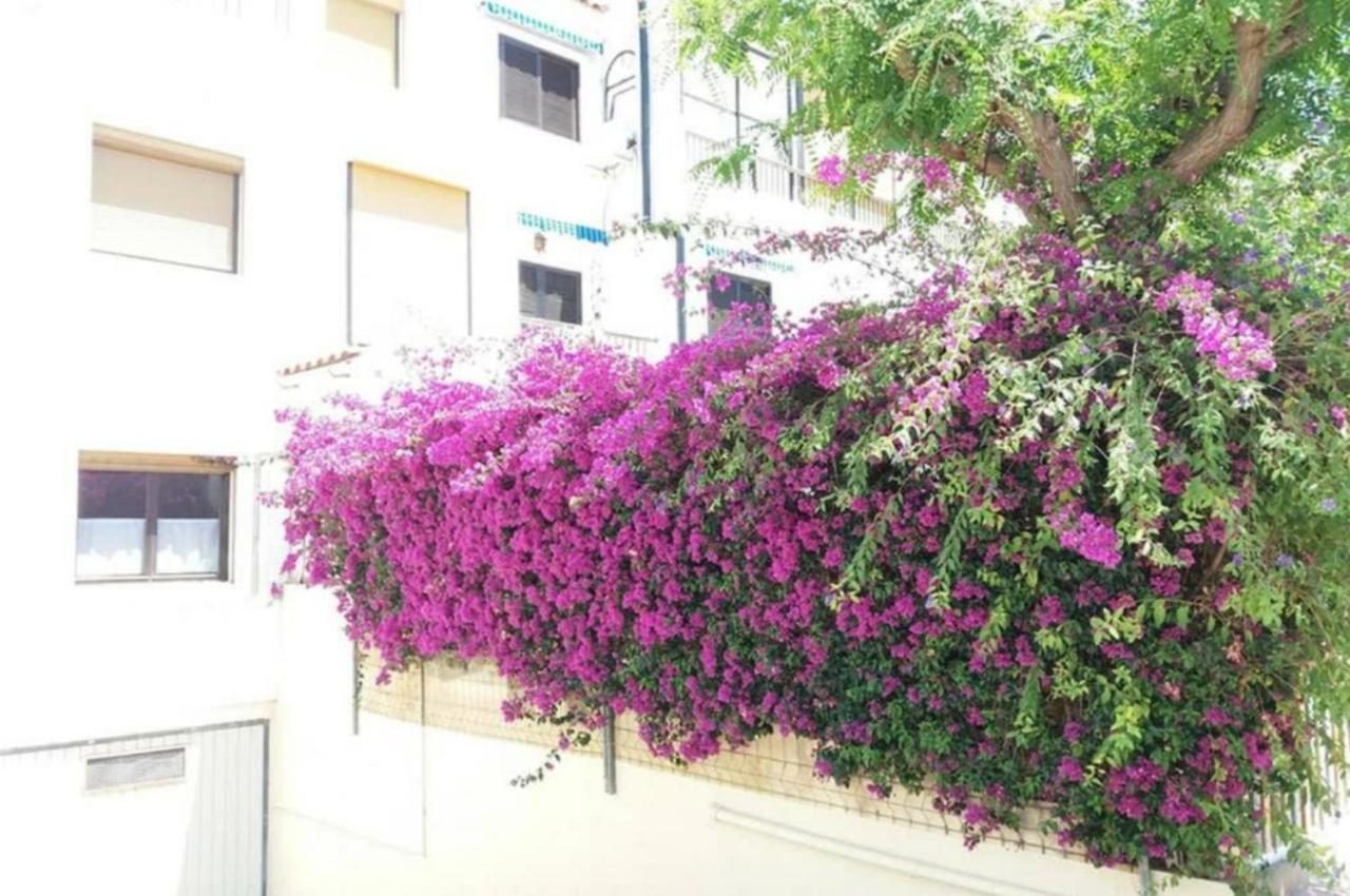 Bungalow Con Encanto, 100M2, A 800 M De La Playa 坎佩略 外观 照片